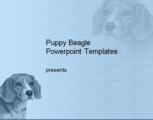 Plantillas Powerpoint perrito del beagle