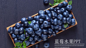 Purple Fruit Blueberry PPT Template Téléchargement gratuit