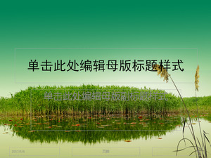 Reed zielony pokaz szablon do pobrania