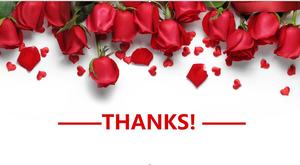 Rose 38 Women's Day PPT Template Rose 38 Women's Day PPT Template