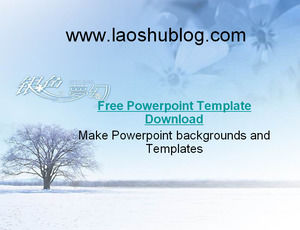 Silver Dream ppt template