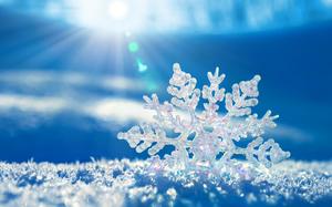 Gambar latar belakang PPT Snowflake close-up