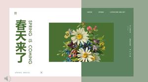 Spring is coming, spring blossoms PPT template
